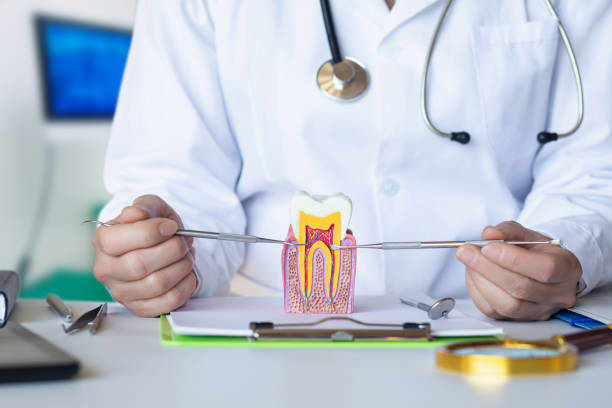 Best Emergency Denture Repair in Port Ludlow, WA